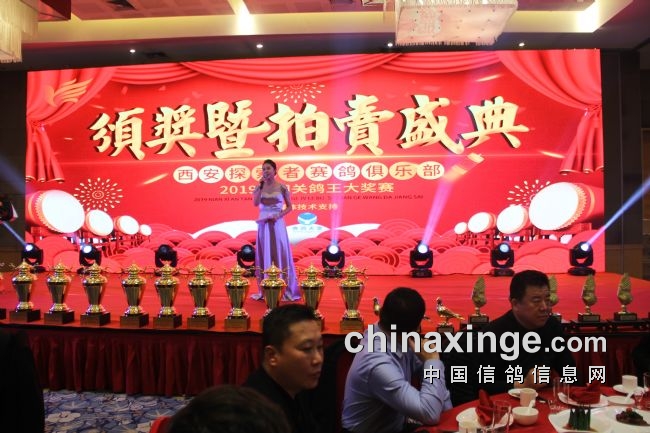 ̽�����ǳ����� �ڸ����ٴ��Ի͡�������̽����2019�佱���¡���ٿ�