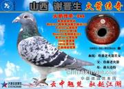 ��ɽ��л���������������д������Ĵ��ĸ֮�¹�����753