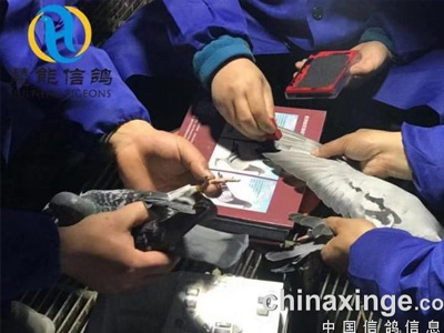 �����������Ｏ��3039����ս�ڶ�������ͼ��