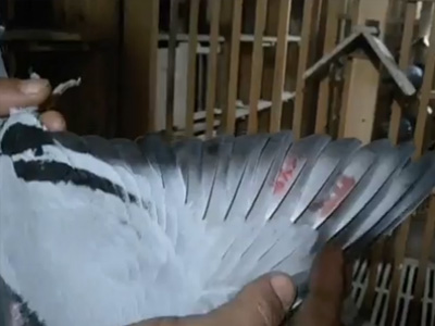 һ������ͻ�Ե���λ�����ӵ���Ҫ��