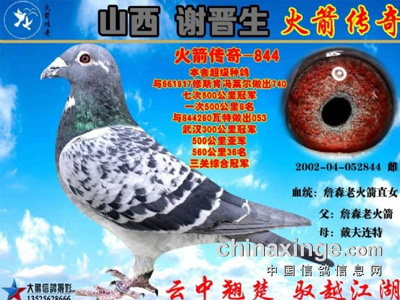 ��ɽ��л���������������д������Ĵ��ĸ֮��������995