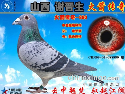 ��ɽ��л���������������д����ڶ����Ĵ��ĸ���ھ������ƽ���