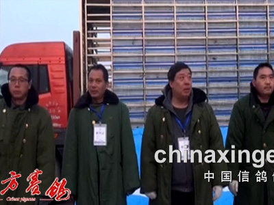 �Ϻ���ɫ����2019����˫�ظ�����վ�����