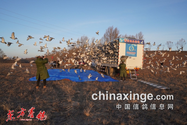 �����ɽ�� ��������ͨ�����������ܵڶ���300����������1655��/��