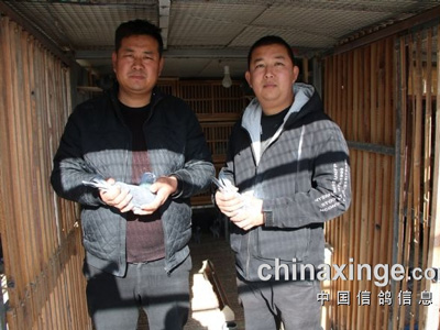 ����û����·�����������蹫������ھ�������