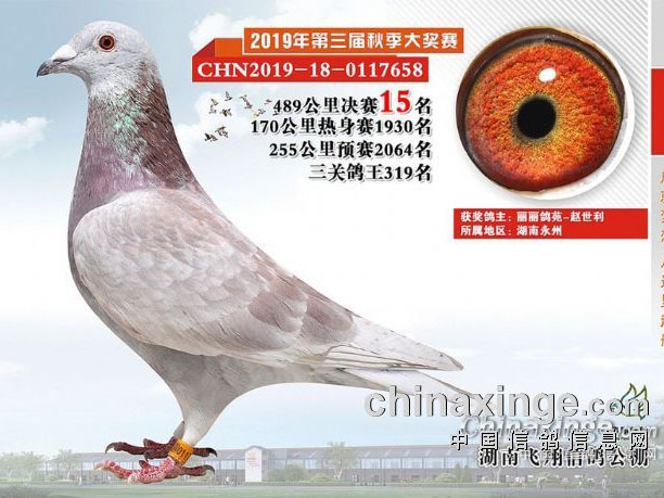 ��Ѯ���̵�ʮ���ꡰ����֡�ѵ��������