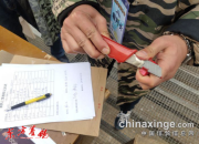 ������զ�� �Ҵ�����������ƽ�����ּ�վ���ڶ���540���������Ĳ֮ս���