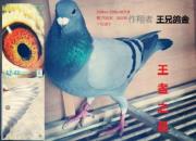 �ҵķ������壺3���4�� ����Է���