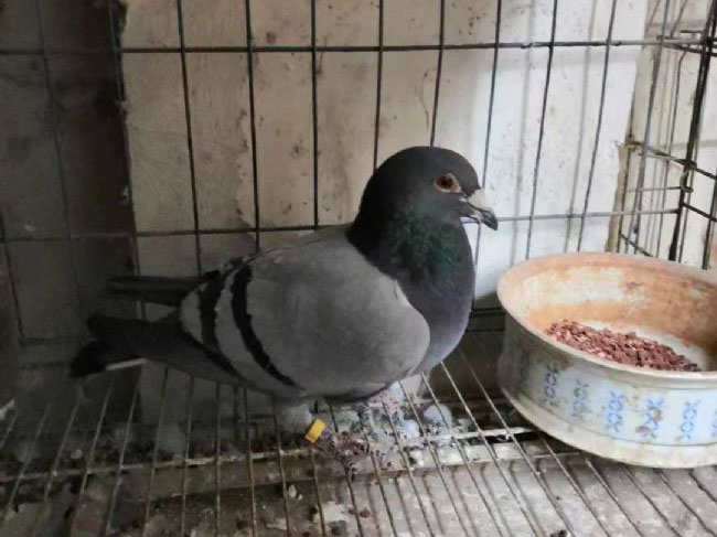 ¥��������������񽱸룡