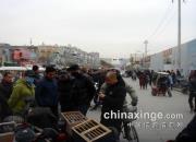 ���ϸ��У�ͼƬ��