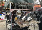 æ��͵�й���� �����ٸ��»���