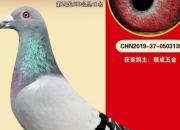 �����ֺ��ã�����ҩ�����ٲ���