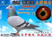 ��ɽ��л���������������д������Ƿɽ�֮�����ھ�222