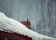 ����ս�ͣ��絶ѩ���ͽ��