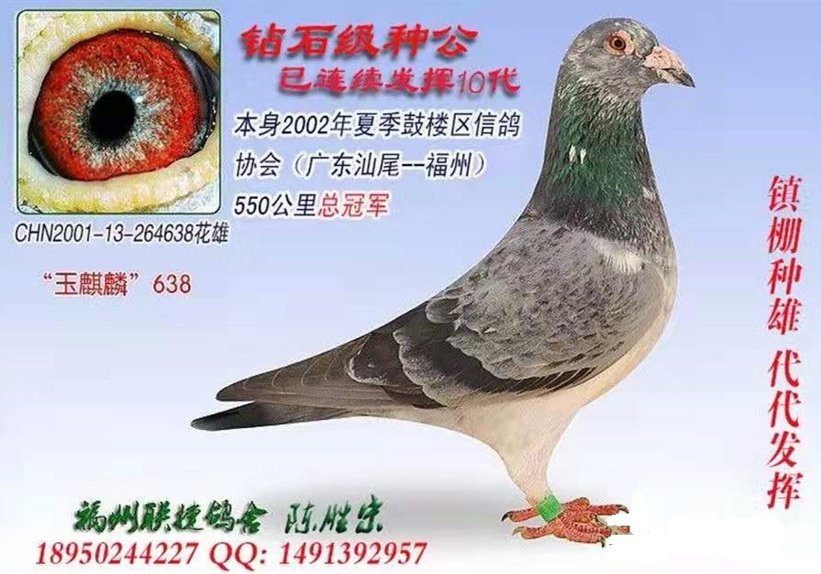 ������Ͽ���빫��������֮�С����ø��ݳ�ʤ������