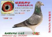 ������Ͽ���빫��������֮�С����ø��ݳ�ʤ������