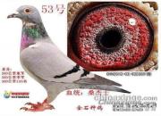 ʲôʱ���ʺϸ������뵲��
