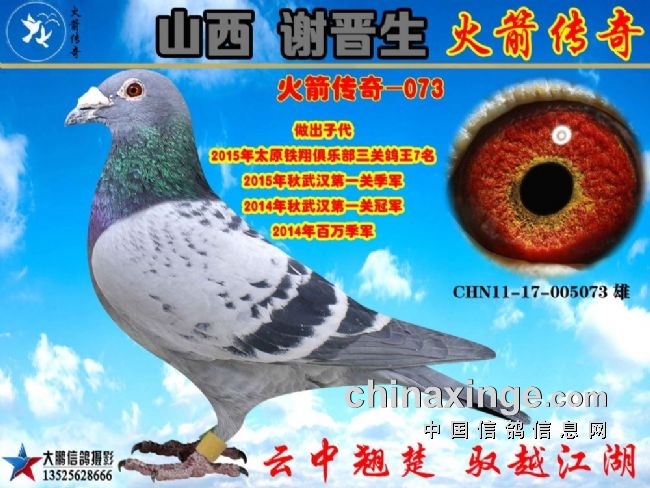 ��ɽ��л���������������д�����ɳȺӢ���������С73