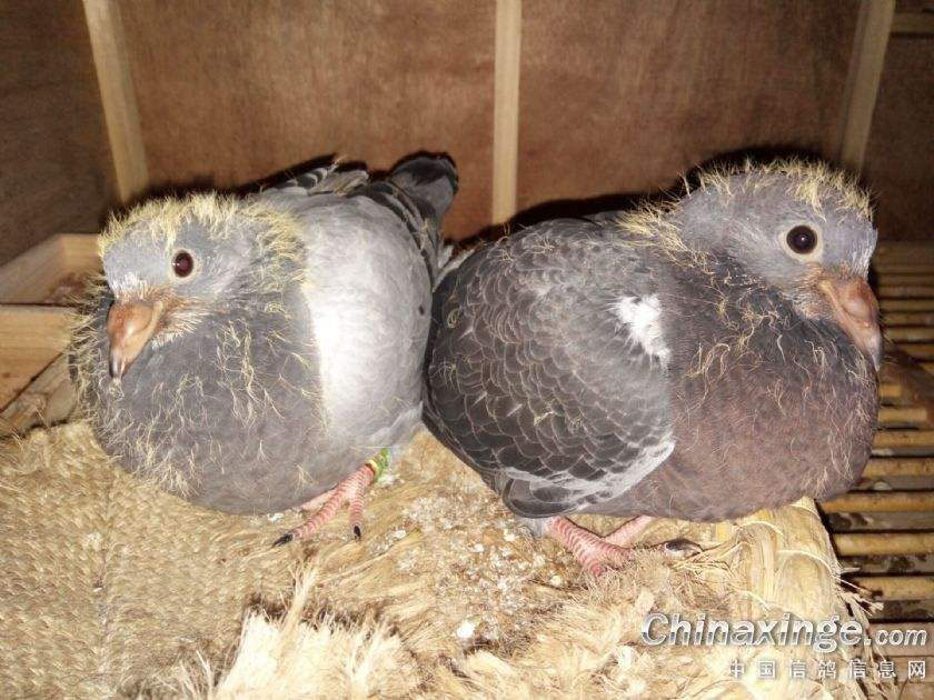 �׸���ѡ������ļ�����˽���