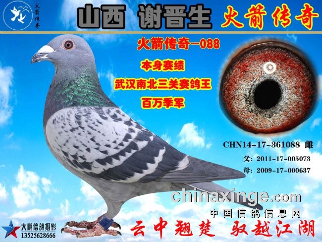 ��ɽ��л���������������д�����ɳȺӢ�����򼾾�088