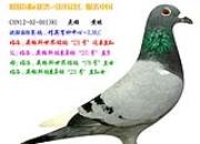��Ȧֱ�������ĸ���Ӣ��˹������˹��������