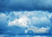 ��ֻ�����������磨ͼ��