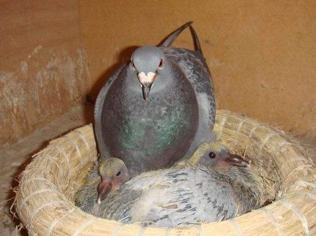 ��������� �ָ��ǵ�һ��