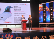 ���뾪ǧ�� �������� ����2019�꿪����С���������ֳ����