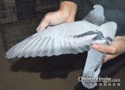 Ǭ��δ�� ���ҽ��Ǻ���