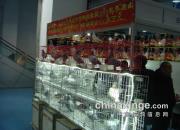 ���ϸ�չͼƬ����