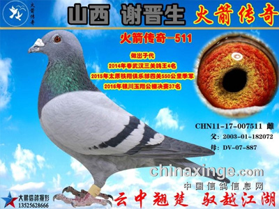 ��ɽ��л���������������д�����ɳȺӢ���������128