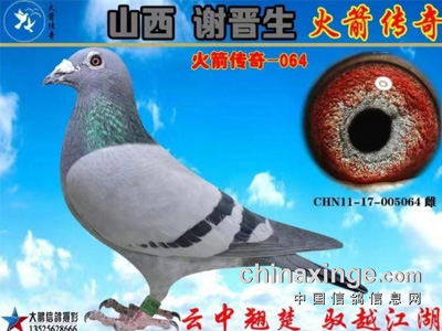 ��ɽ��л���������������д�����ɳȺӢ��������064