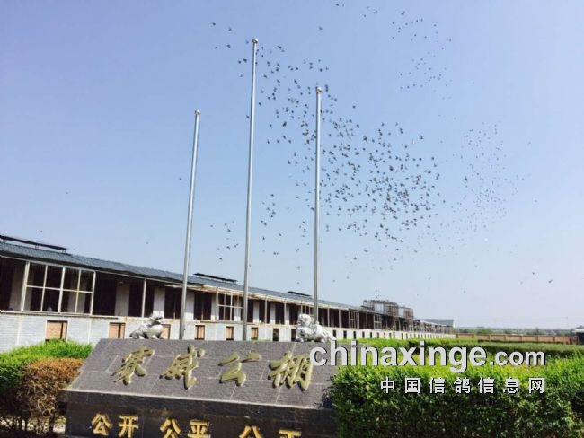 ��������������ٴ�������Ʒ�ʣ�ͼ��