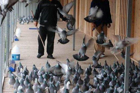 2019깫ܽ ܷɸλӮǮ