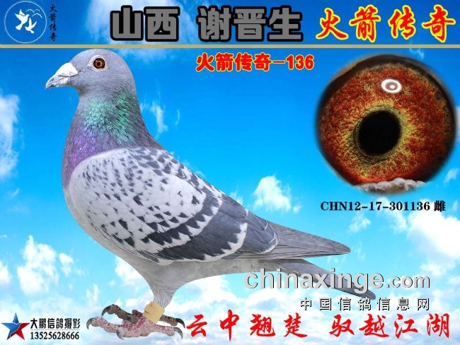 ��ɽ��л���������������д�����ɳȺӢ������ʥĸ136