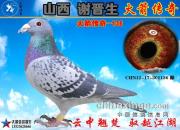 ��ɽ��л���������������д�����ɳȺӢ������ʥĸ136