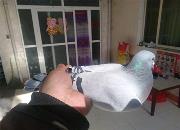 ʦ��֧Ԯ�ֲ��� ��480�����Ǿ�