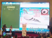 �Ƽ�¼�����ȷ汭�������ᴴ�㽭����������߼�