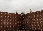 ���ӵ�������磺һ��һ��������