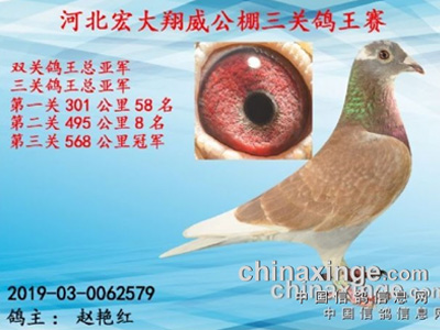 ��˵��ԧ���������