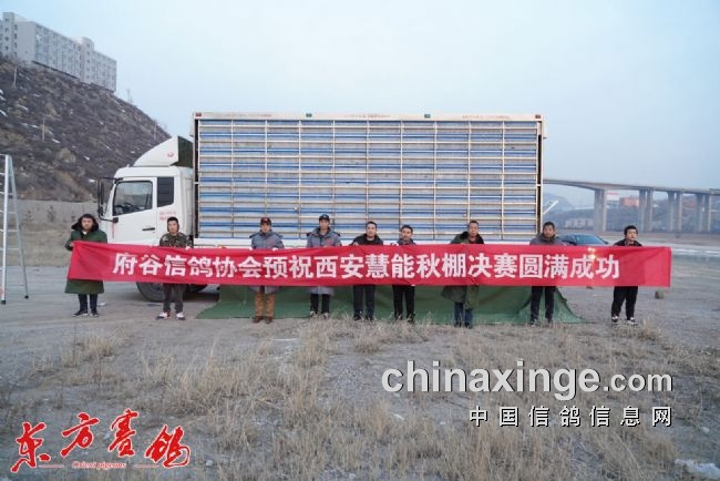 ���������ܸ� �������ɿ�����