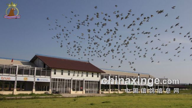 �й�������ҫ̩�������� �ڶ���ǰʮ������