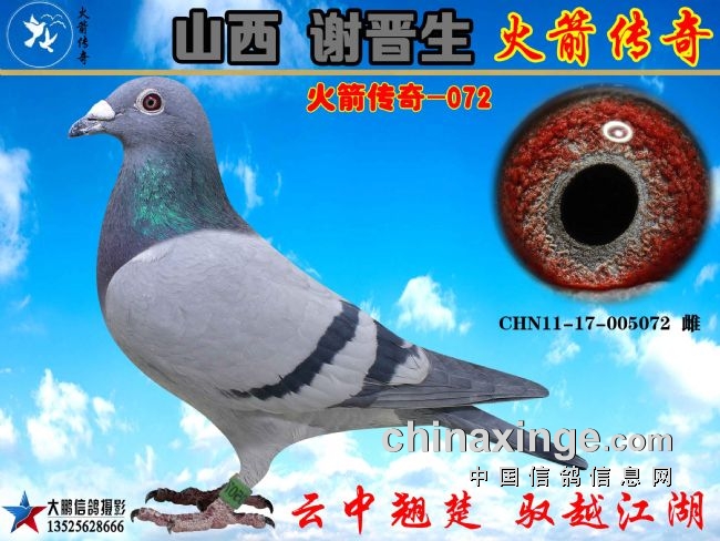 ��ɽ��л���������������д�����ɳȺӢ���ٶ�ɱ��072