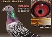 ��������2019���ܽ᣺�����ʮ��