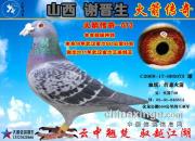 ��ɽ��л���������������д������Ĳ�   ��ɳȺӢ ���ھ�����Ӣ����