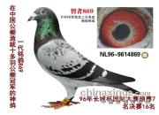 �����ر�Բ���ҹھ���