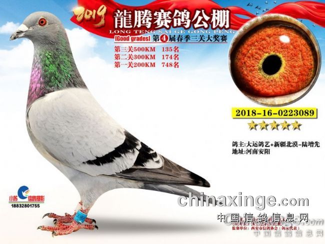 ���۴Ի����ǻƽ��ָ� 