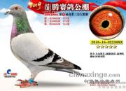 ���۴Ի����ǻƽ��ָ� 