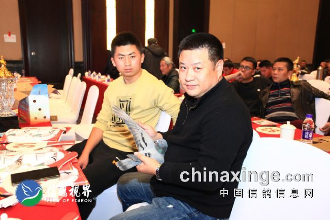 ѡ�Ͱ�����ս�и߶����� ְҵ���ֻ�����ר��