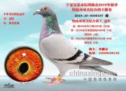 �Ǳ�Ѫϵն����������˫���رȸ����ھ�